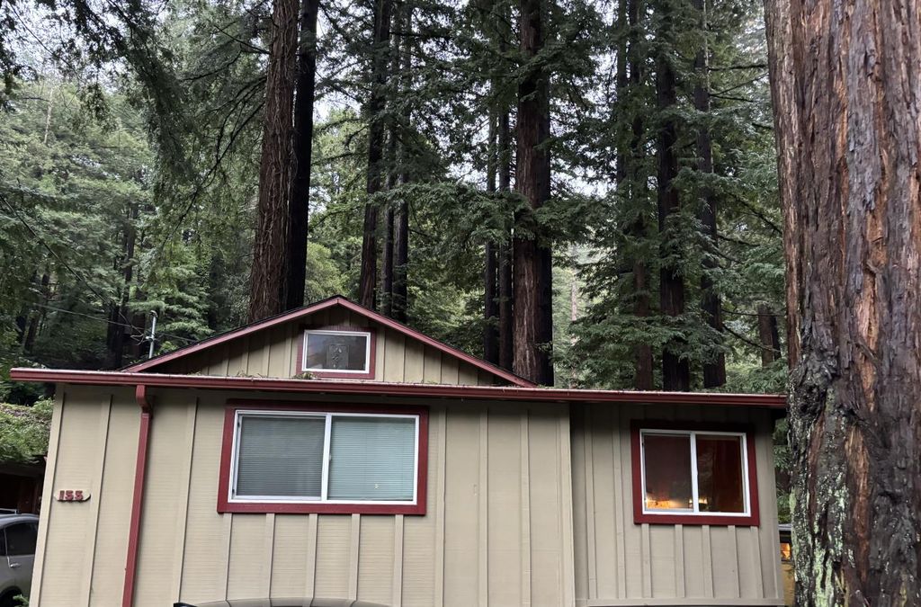 155 Mcgaffigan Mill Road, Boulder Creek, CA 95006