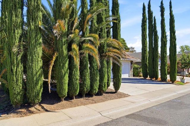 8947 Giant Panda Drive, Sacramento, CA 95829