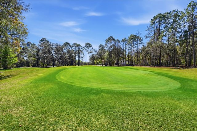 1205 Mulligan Drive, Townsend, GA 31331