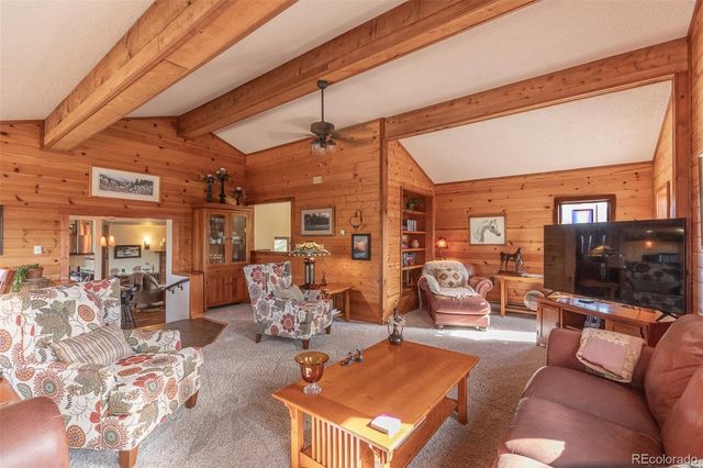 29255 Pinon Circle, Buena Vista, CO 81211