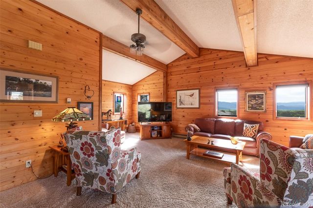 29255 Pinon Circle, Buena Vista, CO 81211