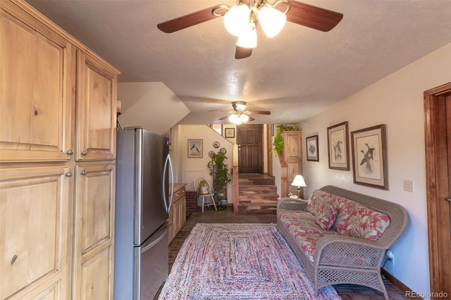 29255 Pinon Circle, Buena Vista, CO 81211