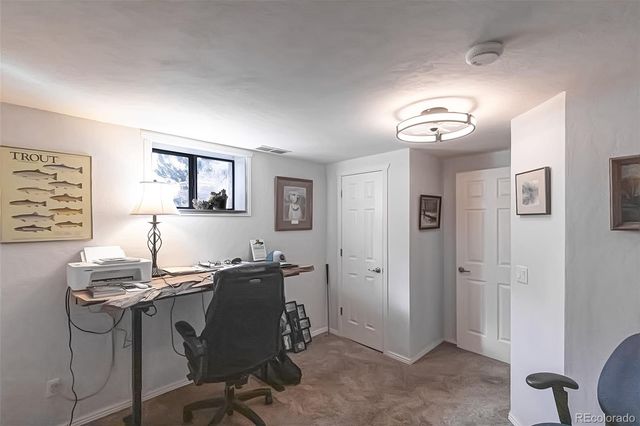 29255 Pinon Circle, Buena Vista, CO 81211