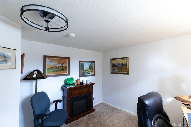 29255 Pinon Circle, Buena Vista, CO 81211