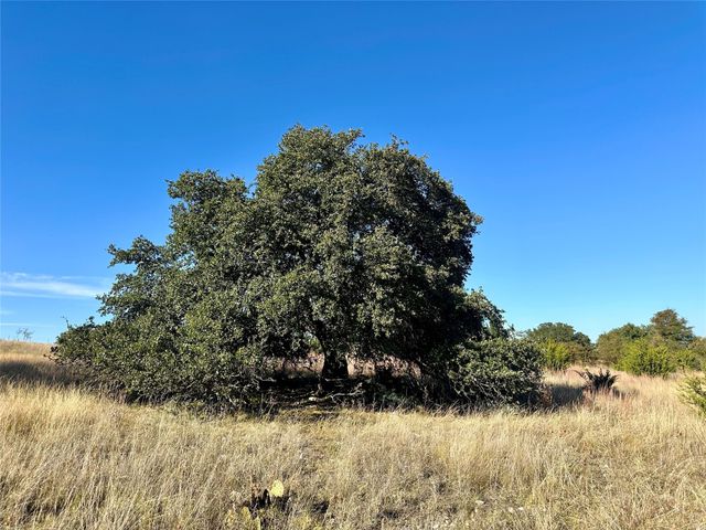 171 County Road 306, Goldthwaite, TX 76844