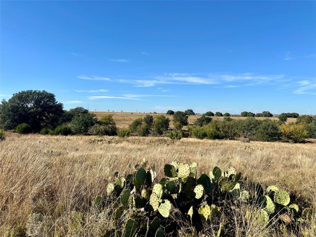 171 County Road 306, Goldthwaite, TX 76844