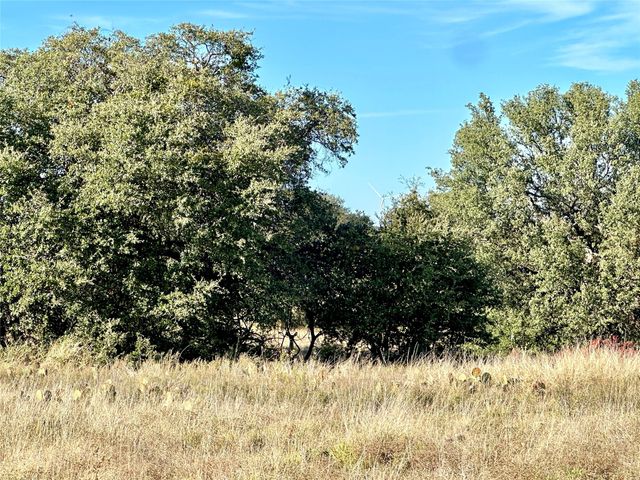 171 County Road 306, Goldthwaite, TX 76844