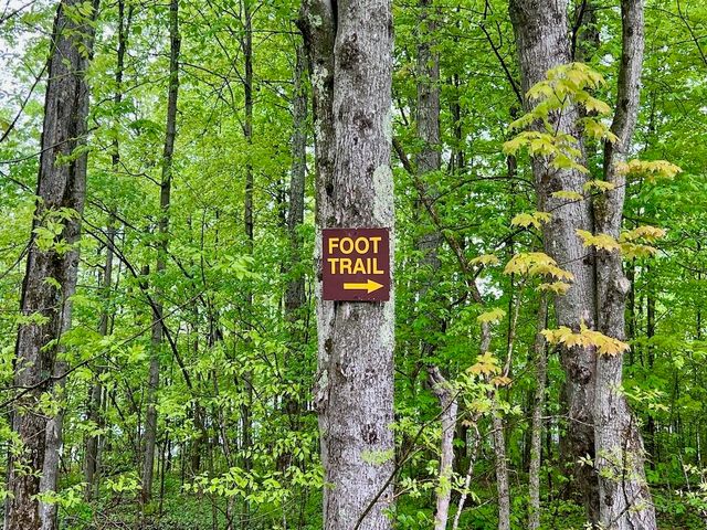 105 White Birch Drive, Tinmouth, VT 05773