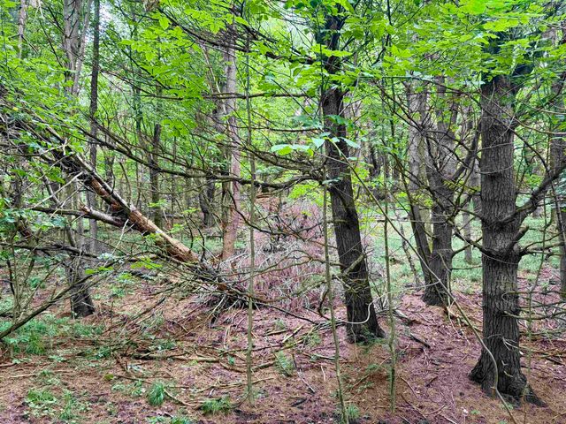 0000 W Empire Highway, Empire, MI 49630