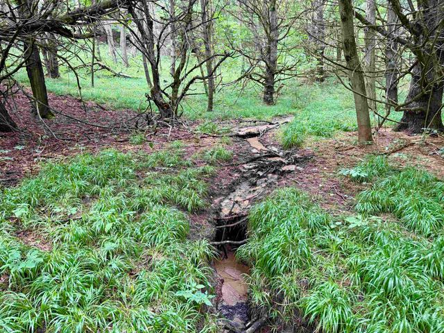 0000 W Empire Highway, Empire, MI 49630