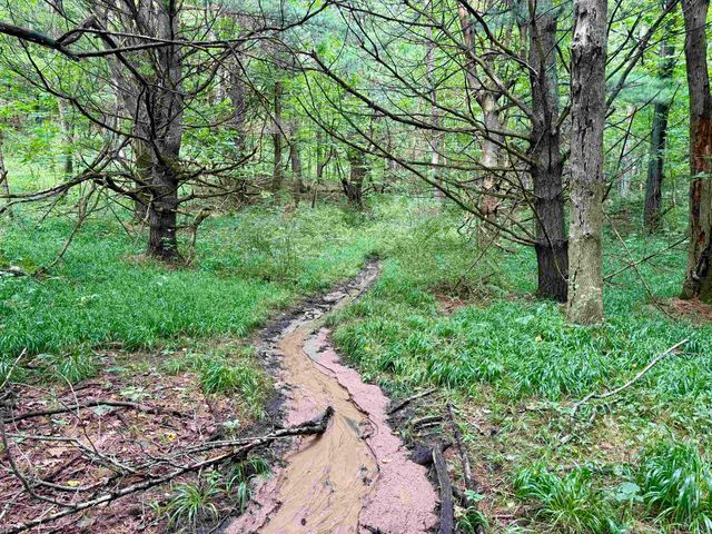 0000 W Empire Highway, Empire, MI 49630