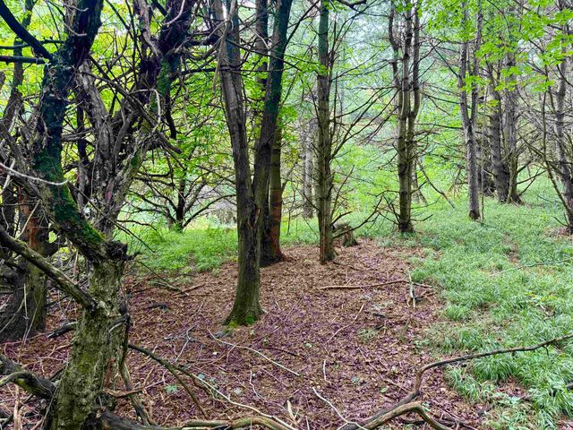 0000 W Empire Highway, Empire, MI 49630