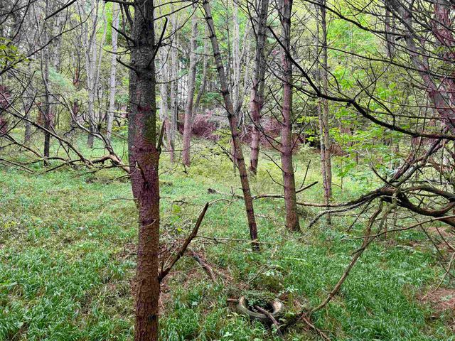 0000 W Empire Highway, Empire, MI 49630