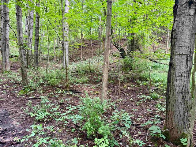 0000 W Empire Highway, Empire, MI 49630