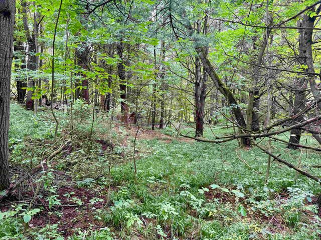 0000 W Empire Highway, Empire, MI 49630