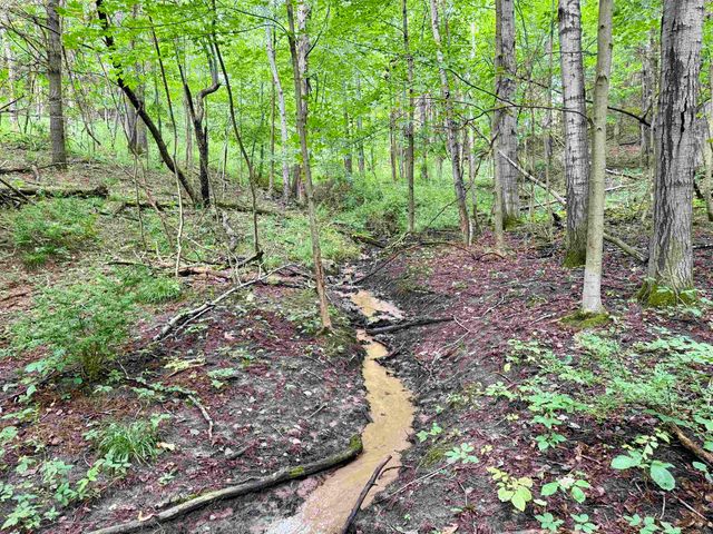 0000 W Empire Highway, Empire, MI 49630