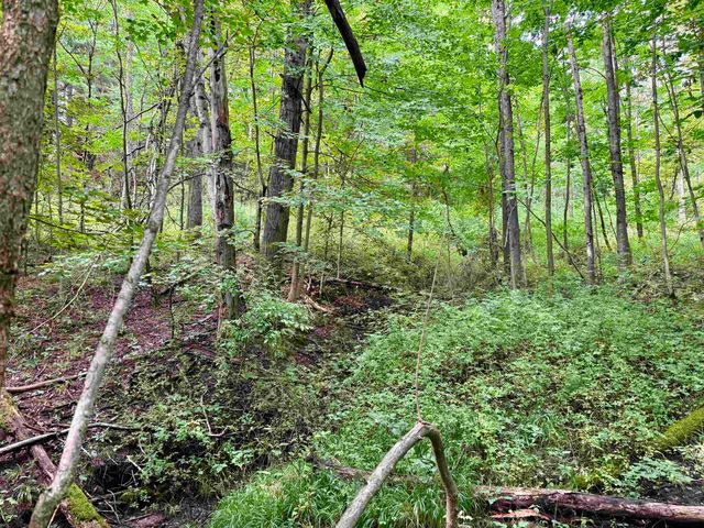 0000 W Empire Highway, Empire, MI 49630