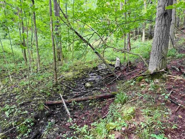 0000 W Empire Highway, Empire, MI 49630