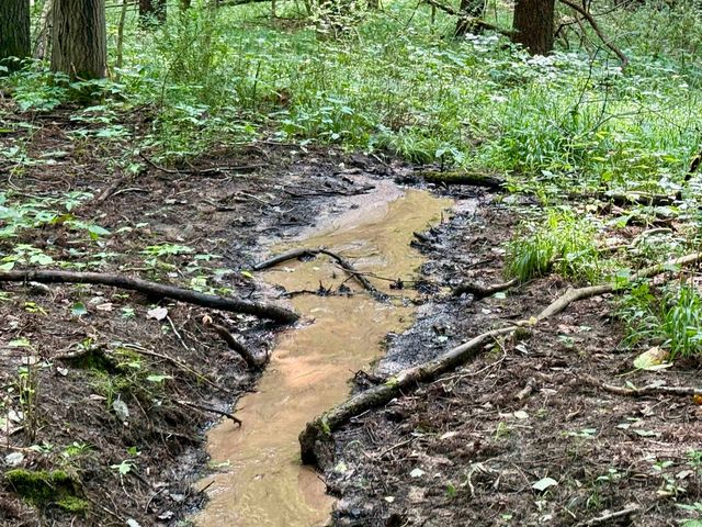 0000 W Empire Highway, Empire, MI 49630