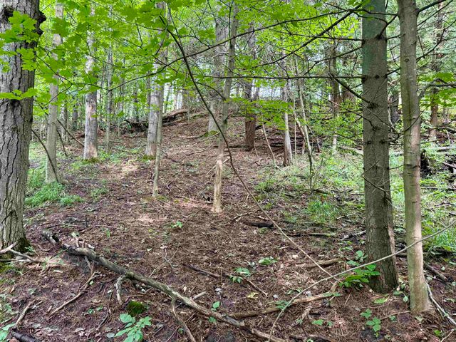 0000 W Empire Highway, Empire, MI 49630