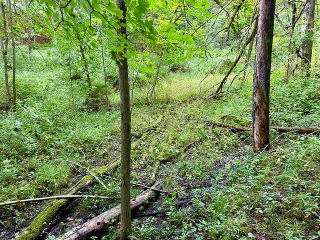 0000 W Empire Highway, Empire, MI 49630