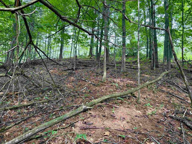 0000 W Empire Highway, Empire, MI 49630