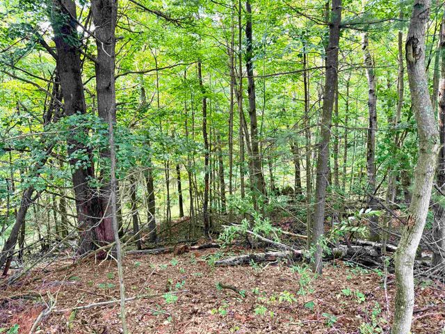 0000 W Empire Highway, Empire, MI 49630