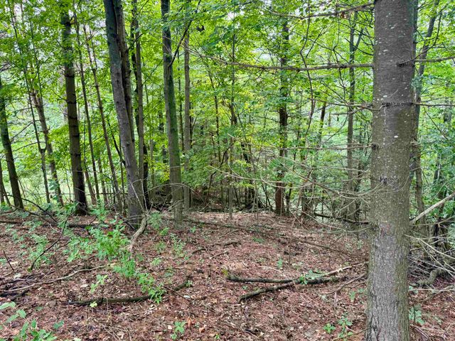 0000 W Empire Highway, Empire, MI 49630