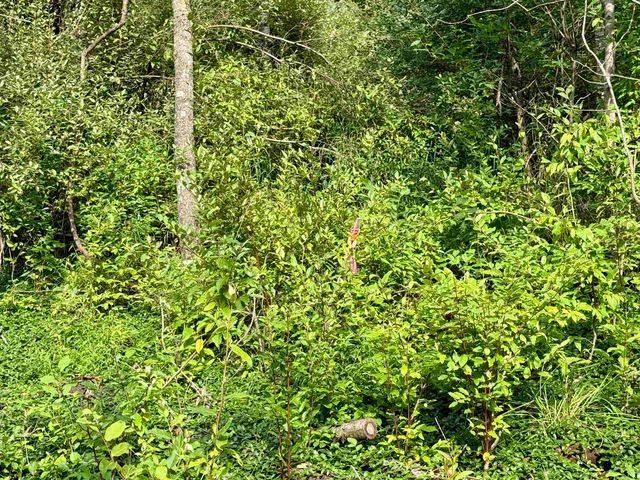 0000 W Empire Highway, Empire, MI 49630