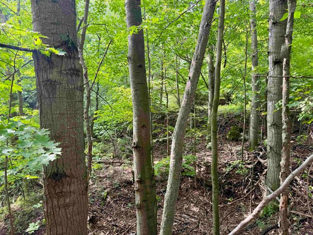 0000 W Empire Highway, Empire, MI 49630