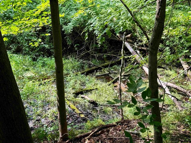 0000 W Empire Highway, Empire, MI 49630