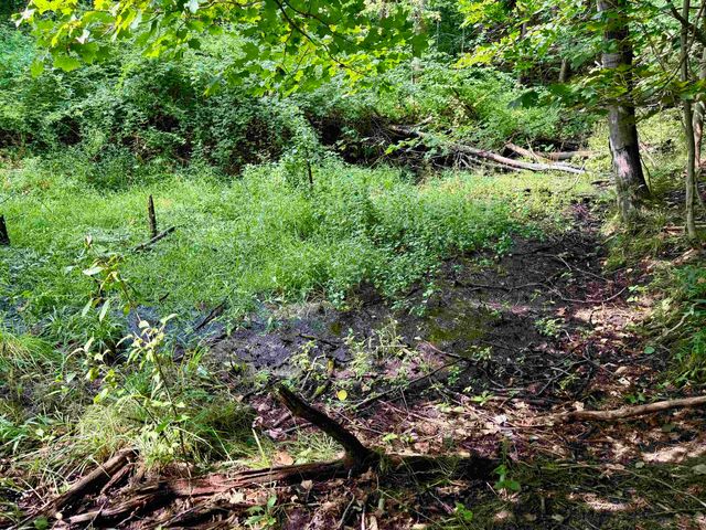 0000 W Empire Highway, Empire, MI 49630