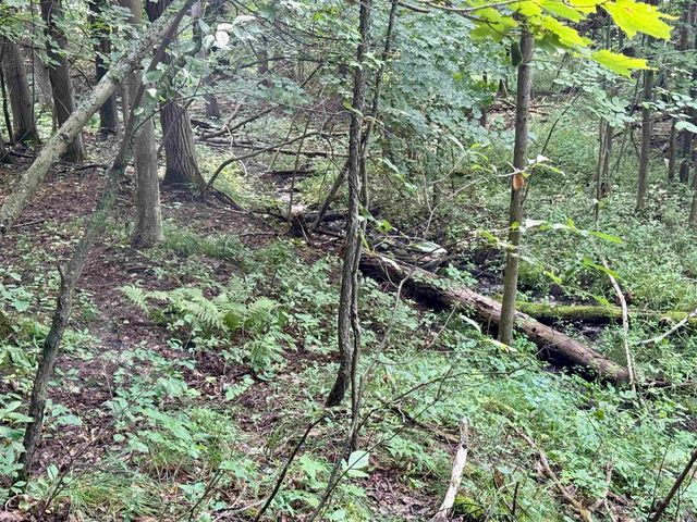 0000 W Empire Highway, Empire, MI 49630