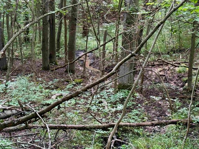 0000 W Empire Highway, Empire, MI 49630