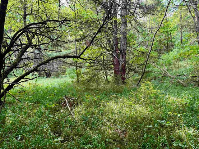 0000 W Empire Highway, Empire, MI 49630