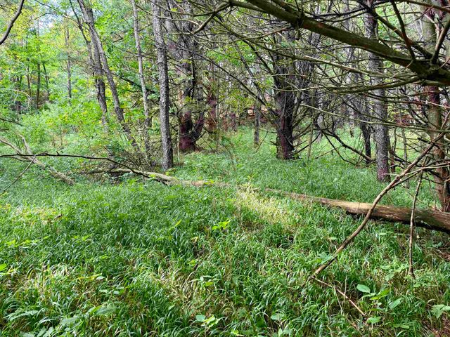 0000 W Empire Highway, Empire, MI 49630