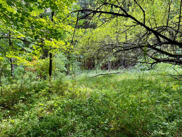 0000 W Empire Highway, Empire, MI 49630