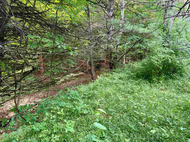 0000 W Empire Highway, Empire, MI 49630