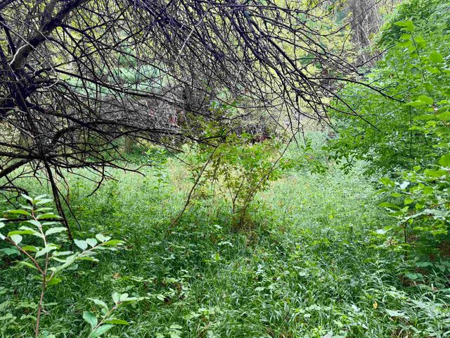 0000 W Empire Highway, Empire, MI 49630