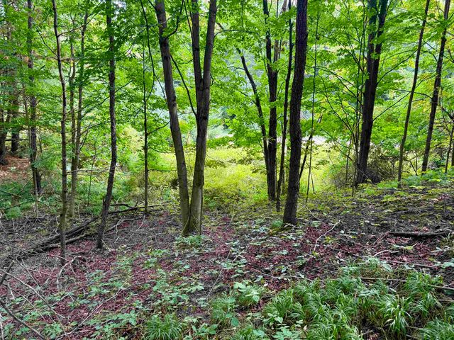 0000 W Empire Highway, Empire, MI 49630