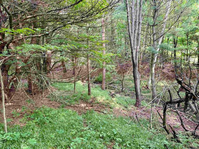 0000 W Empire Highway, Empire, MI 49630