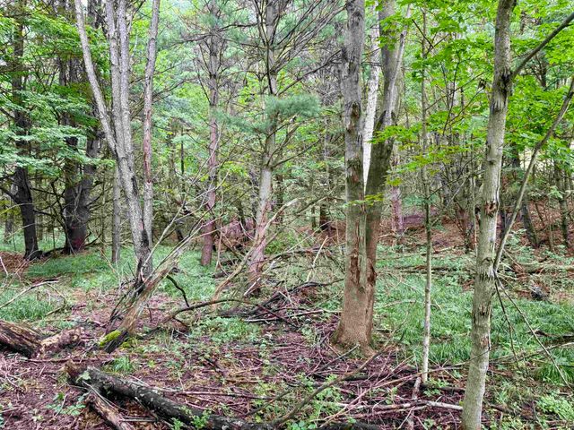 0000 W Empire Highway, Empire, MI 49630