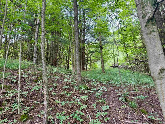 0000 W Empire Highway, Empire, MI 49630