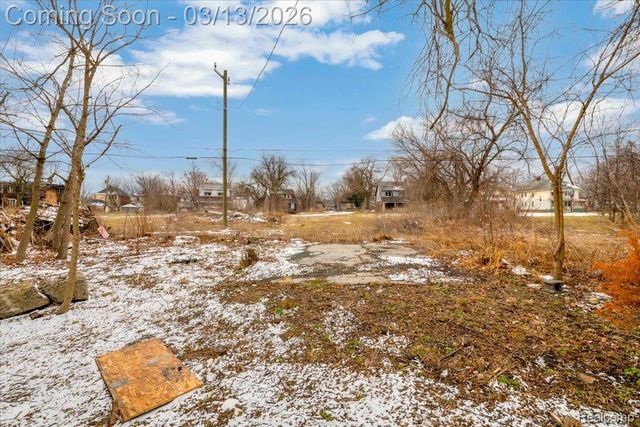 21 North Street, Highland Park, MI 48203