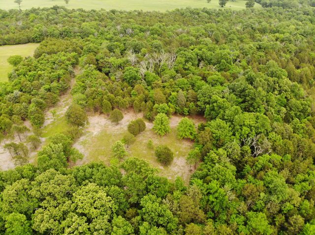 0 Morgan Road, Rockvale, TN 37153