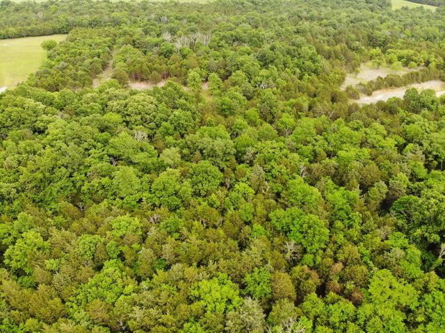 0 Morgan Road, Rockvale, TN 37153