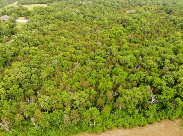 0 Morgan Road, Rockvale, TN 37153