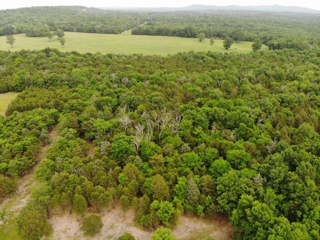 0 Morgan Road, Rockvale, TN 37153