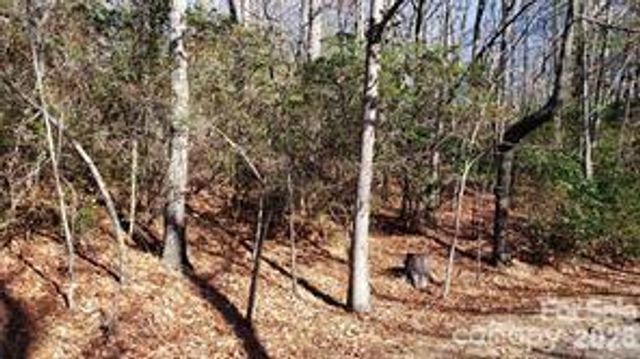 TBD Galax Lane G-11, Brevard, NC 28712