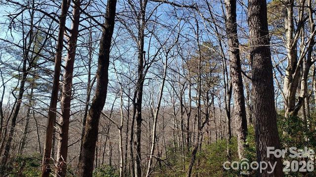 TBD Galax Lane G-11, Brevard, NC 28712